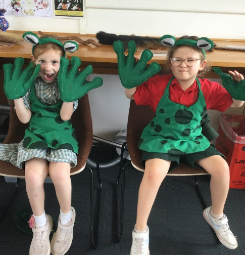 /uploaded_files/media/gallery/1763346258Screenshot 2025-11-17 132347.png